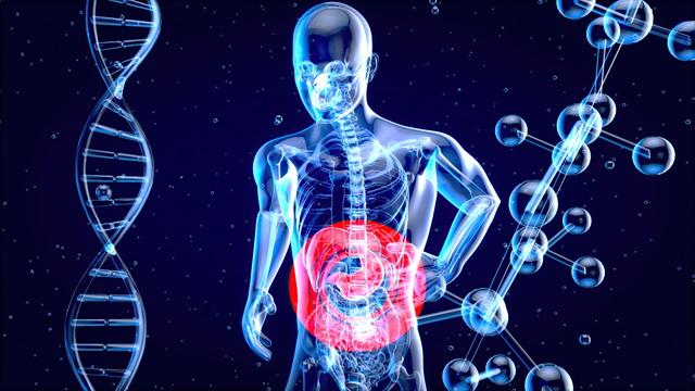Bağırsaq florasını bərpa etmək: probiotiklər və qidalanma üsulları